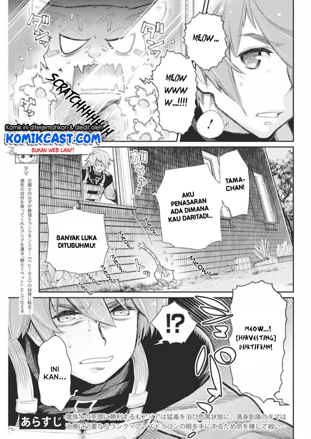 S-Rank Monster no Behemoth Dakedo, Neko to Machigawarete Erufu Musume no Kishi (Pet) Toshite Kurashitemasu Chapter 16 Gambar 4